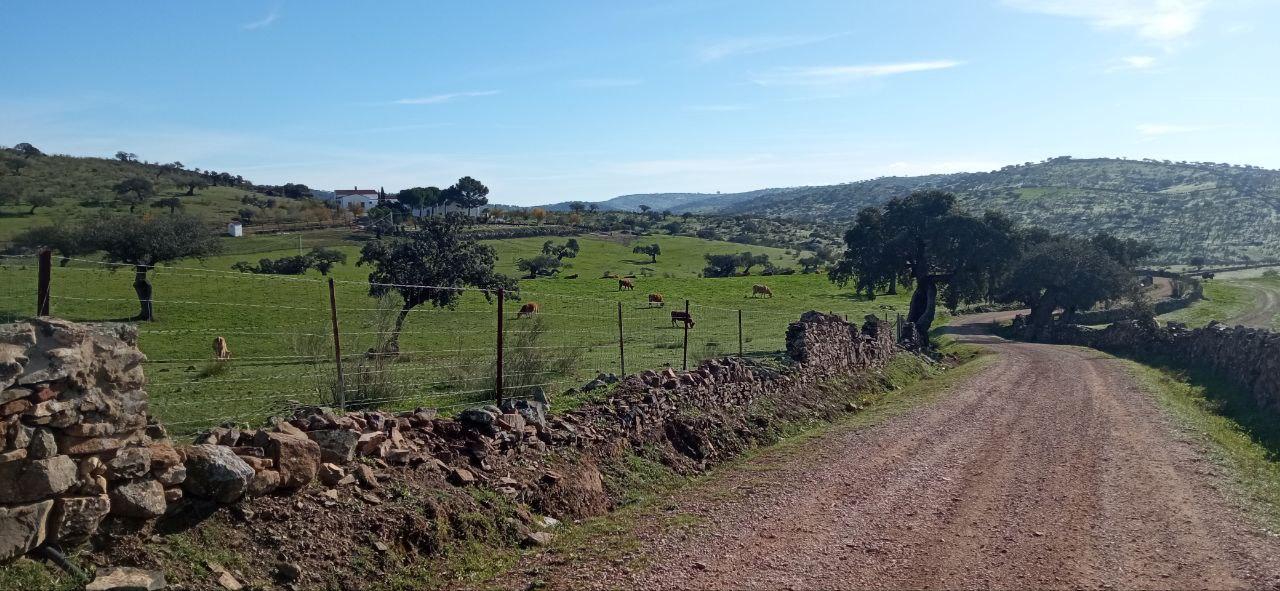 Sostenibilidad 5G, la Dehesa